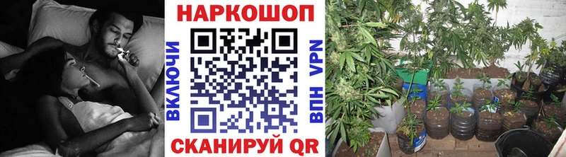 Купить закладку ГАШ  Альфа ПВП  COCAIN  Мефедрон  Каннабис  Колпашево