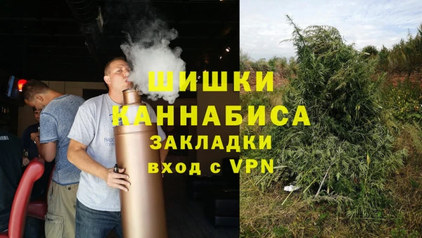 прущие грибы Кинешма