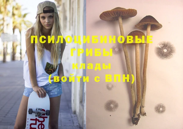 прущий лед Киреевск