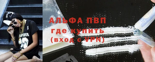 прущие грибы Кинешма