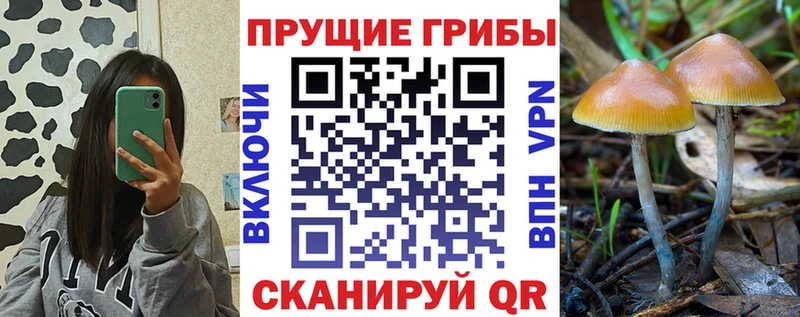 Псилоцибиновые грибы ЛСД  Купить закладки  Колпашево 