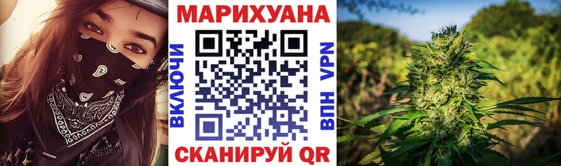 Купить закладки  Колпашево  Бошки марихуана сатива 